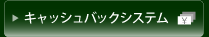 Plaza Hotel Plus One Cashback System