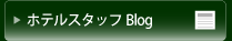 Plaza Hotel Plus One Hotel Staff Blog